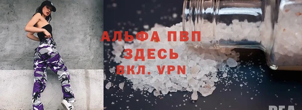 стаф Гусев