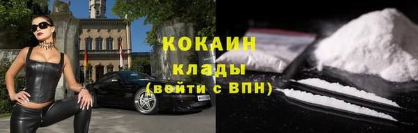 стаф Гусев