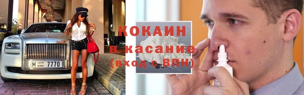 стаф Гусев
