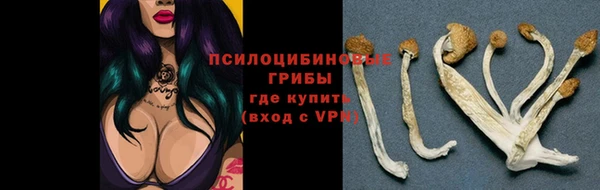 mix Гусь-Хрустальный