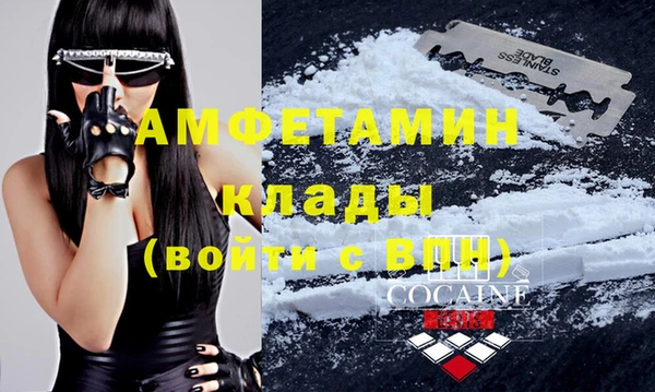 стаф Гусев