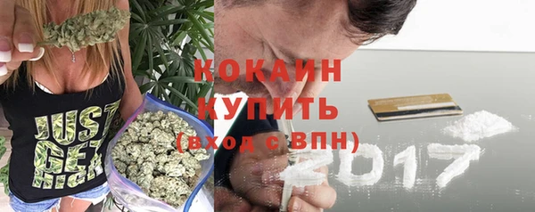 стаф Гусев